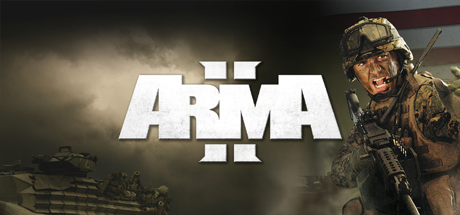 ARMA 2 game