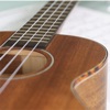 StringMaster Uke